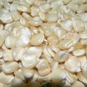 Maïs à vendre au Sénégal