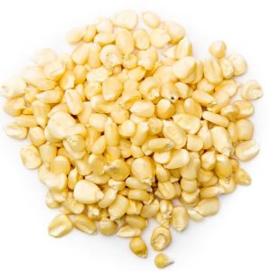 Buy White Corn 1000 tons in Botswana