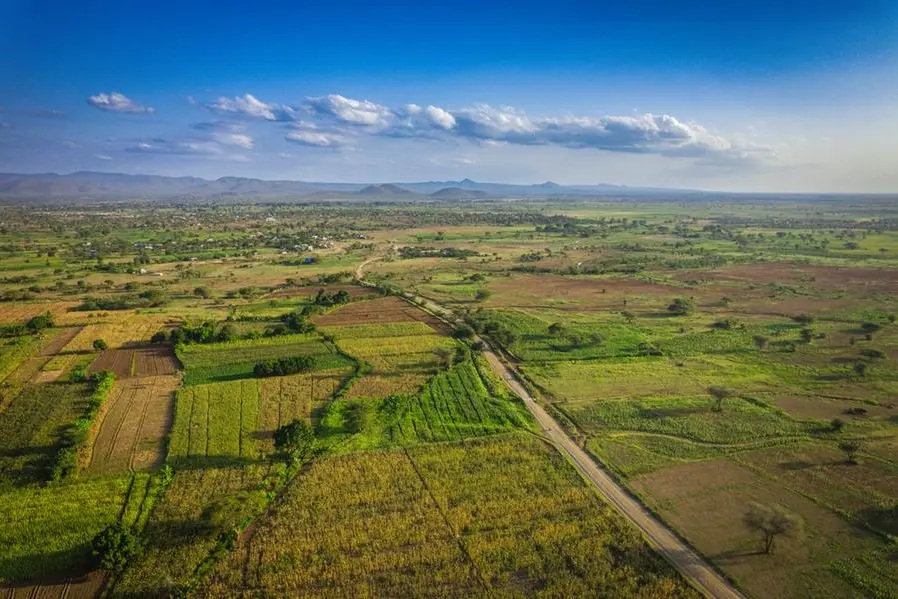 A breakdown of Agriculture in Tanzania