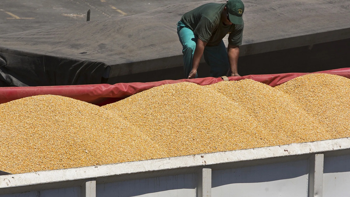 Wholesale Suppliers of Corn in South Sudan