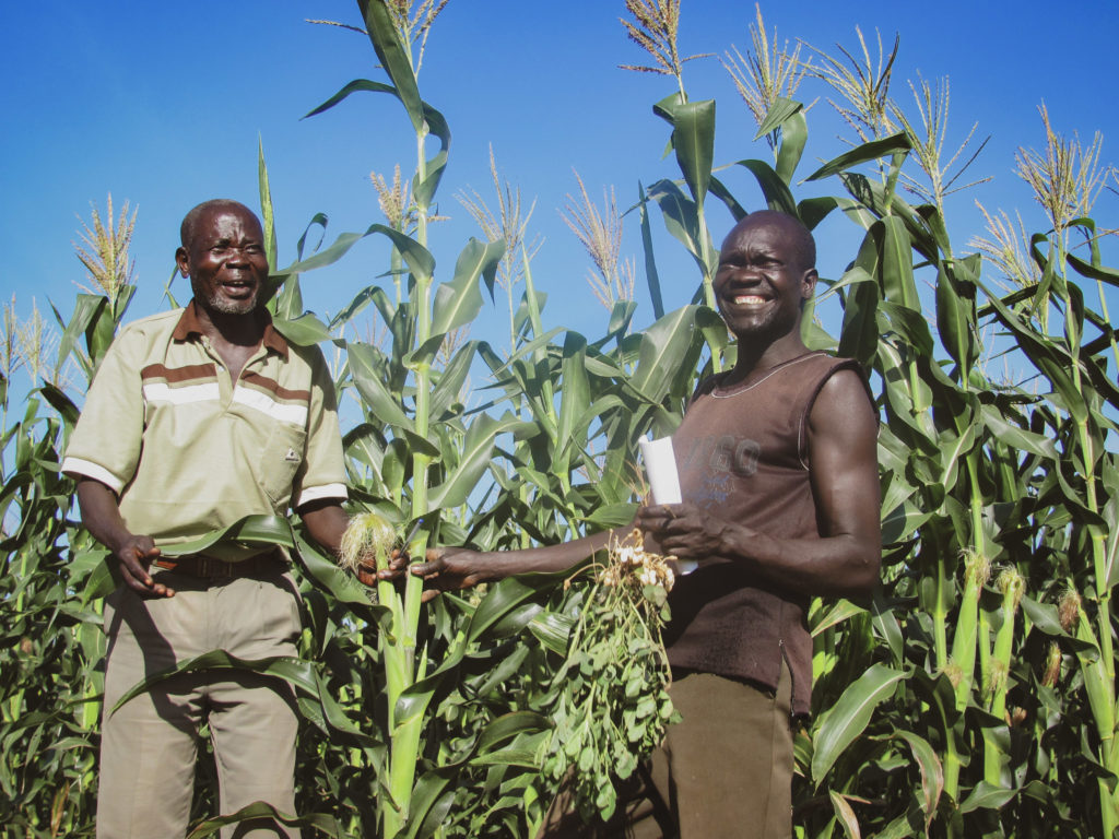 How to buy Corn from South Sudan