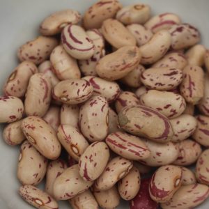 Buy Grade 1 Sugar Beans Wholesale